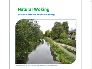 Screenshot for https://www.woking.gov.uk/sites/default/files/documents/Nature/nwstrategy.pdf