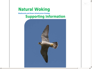 Screenshot for https://www.woking.gov.uk/sites/default/files/documents/Nature/nwsuppinfo.pdf