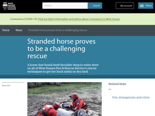 Screenshot for https://www.westsussex.gov.uk/news/stranded-horse-proves-to-be-a-challenging-rescue/