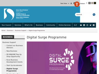 Screenshot for https://www.derrystrabane.com/Business/Business-Support/Digital-Transformation-Programme