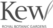 Kew Gardens logo