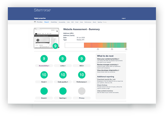 Sitemorse summary report